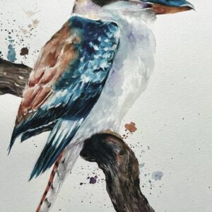 Kookaburra Painting Photos